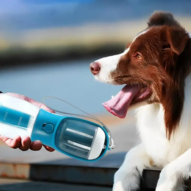 3 In 1 Portable Pet Water Cup – Moodys Extraordinary – Gifts & Collectibles