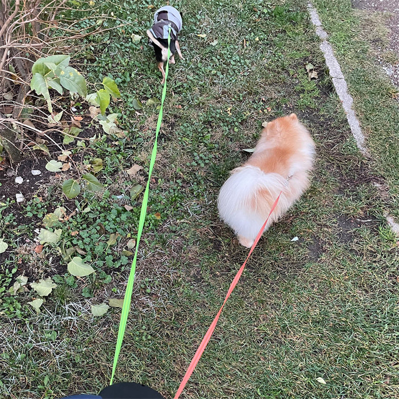 360° Rotating Double Dog Leash With Light