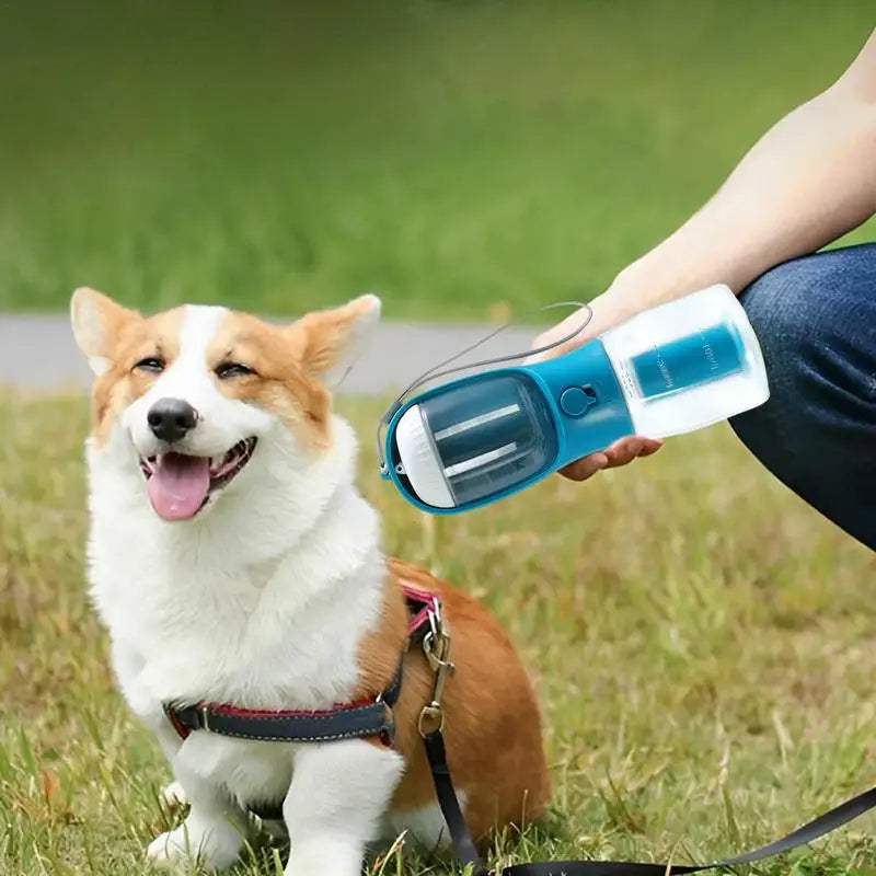 Pet Travel Water Bottle Cup 3 In 1 – Moodys Extraordinary – Gifts & Collectibles